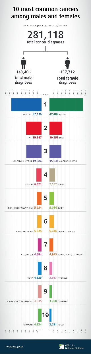 Infographic On The Most Common Cancers In Males And Females
