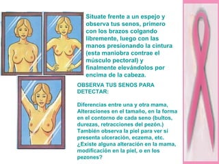 Situate frente a un espejo y observa tus senos, primero con los brazos colgando libremente, luego con las manos presionando la cintura (esta maniobra contrae el músculo pectoral) y finalmente elevándolos por encima de la cabeza.  OBSERVA TUS SENOS PARA DETECTAR:  Diferencias entre una y otra mama, Alteraciones en el tamaño, en la forma  en el contorno de cada seno (bultos, durezas, retracciones del pezón.) También observa la piel para ver si presenta ulceración, eczema, etc.  ¿Existe alguna alteración en la mama, modificación en la piel, o en los pezones? 