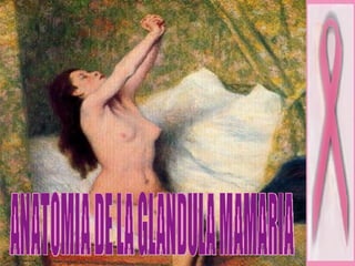 ANATOMIA DE LA GLANDULA MAMARIA 