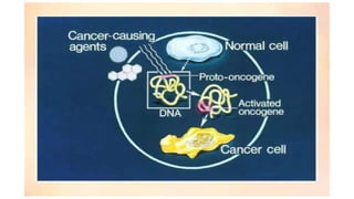 Cancer MBBS.pptx
