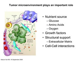 Cancer metabolism lecture, Hood College (10-18-10) | PDF