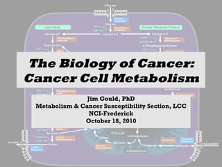 The Biology of Cancer:
Cancer Cell Metabolism
Jim Gould, PhD
Metabolism & Cancer Susceptibility Section, LCC
NCI-Frederick
October 18, 2010

 