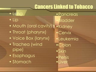 Cancers Linked to Tobacco 
• Lung 
• Lip 
• Mouth (oral cavity) 
• Throat (pharynx) 
• Voice Box (larynx) 
• Trachea (wind 
pipe) 
• Esophagus 
• Stomach 
•Pancreas 
•Bladder 
•Kidney 
•Cervix 
•Leukemia 
•Colon 
•Skin 
•Penis 
•Liver 
 
