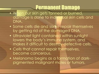 Permanent Damage 
• When our skin gets tanned or burned, 
damage is done to individual skin cells and 
DNA. 
• Some cells die and some repair themselves 
by getting rid of the damaged DNA. 
• Ultraviolet light contained within sunlight 
lowers the body’s immune system, and 
makes it difficult to destroy defective cells. 
• Cells that cannot repair themselves, 
become cancerous. 
• Melanoma begins as a formation of dark-pigmented 
malignant moles or tumors. 
 