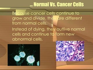 … Normal Vs. Cancer Cells 
Because cancer cells continue to 
grow and divide, they are different 
from normal cells. 
Instead of dying, they outlive normal 
cells and continue to form new 
abnormal cells. 
 