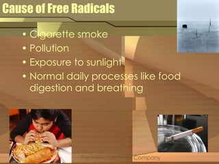 Cause of Free Radicals 
• Cigarette smoke 
• Pollution 
• Exposure to sunlight 
• Normal daily processes like food 
digestion and breathing 
The New York Times Company 
 