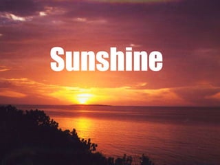 Sunshine 
 