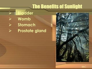 The Benefits of Sunlight 
 Bladder 
 Womb 
 Stomach 
 Prostate gland 
BBC 
 