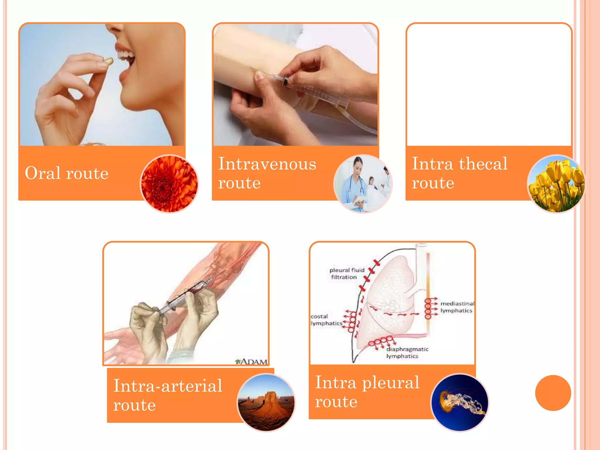 Oral route
Intravenous
route
Intra thecal
route
Intra-arterial
route
Intra pleural
route
 