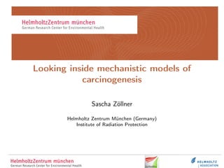 Looking inside mechanistic models of
carcinogenesis
Sascha Zöllner
Helmholtz Zentrum München (Germany)
Institute of Radiation Protection
 