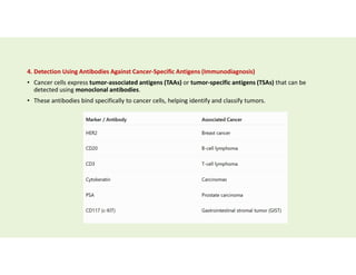 4. Detection Using Antibodies Against Cancer-Specific Antigens (Immunodiagnosis)
• Cancer cells express tumor-associated antigens (TAAs) or tumor-specific antigens (TSAs) that can be
detected using monoclonal antibodies.
• These antibodies bind specifically to cancer cells, helping identify and classify tumors.
 