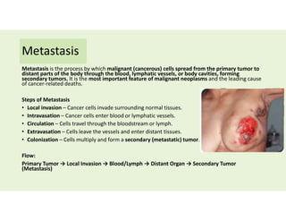 Metastasis
Metastasis is the process by which malignant (cancerous) cells spread from the primary tumor to
distant parts of the body through the blood, lymphatic vessels, or body cavities, forming
secondary tumors. It is the most important feature of malignant neoplasms and the leading cause
of cancer-related deaths.
Steps of Metastasis
• Local invasion – Cancer cells invade surrounding normal tissues.
• Intravasation – Cancer cells enter blood or lymphatic vessels.
• Circulation – Cells travel through the bloodstream or lymph.
• Extravasation – Cells leave the vessels and enter distant tissues.
• Colonization – Cells multiply and form a secondary (metastatic) tumor.
Flow:
Primary Tumor → Local Invasion → Blood/Lymph → Distant Organ → Secondary Tumor
(Metastasis)
 