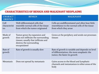 CHARACTERISTICS OF BENIGN AND MALIGNANT NEOPLASMS
CHARACT
ERISTICS
BENIGN MALIGNANT
Cell
characterist
ics
Well-differentiated cells that
resemble normal cells of the tissue
from which the tumor originated
Cells are undifferentiated and often bear little
resemblance to the normal cells of the tissue
from which they arose
Mode of
growth
Tumor grows by expansion and
does not infiltrate the surrounding
tissues; usually that infiltrate and
destroy the surrounding
encapsulated
Grows at the periphery and sends out processes
tissues
Rate of
growth
Rate of growth is usually slow Rate of growth is variable and depends on level
of differentiation; the more anaplastic the
tumor, the faster its growth
Metastasis Does not spread by metastasis Gains access to the blood and lymphatic
channels and metastasizes to other areas of the
body
 