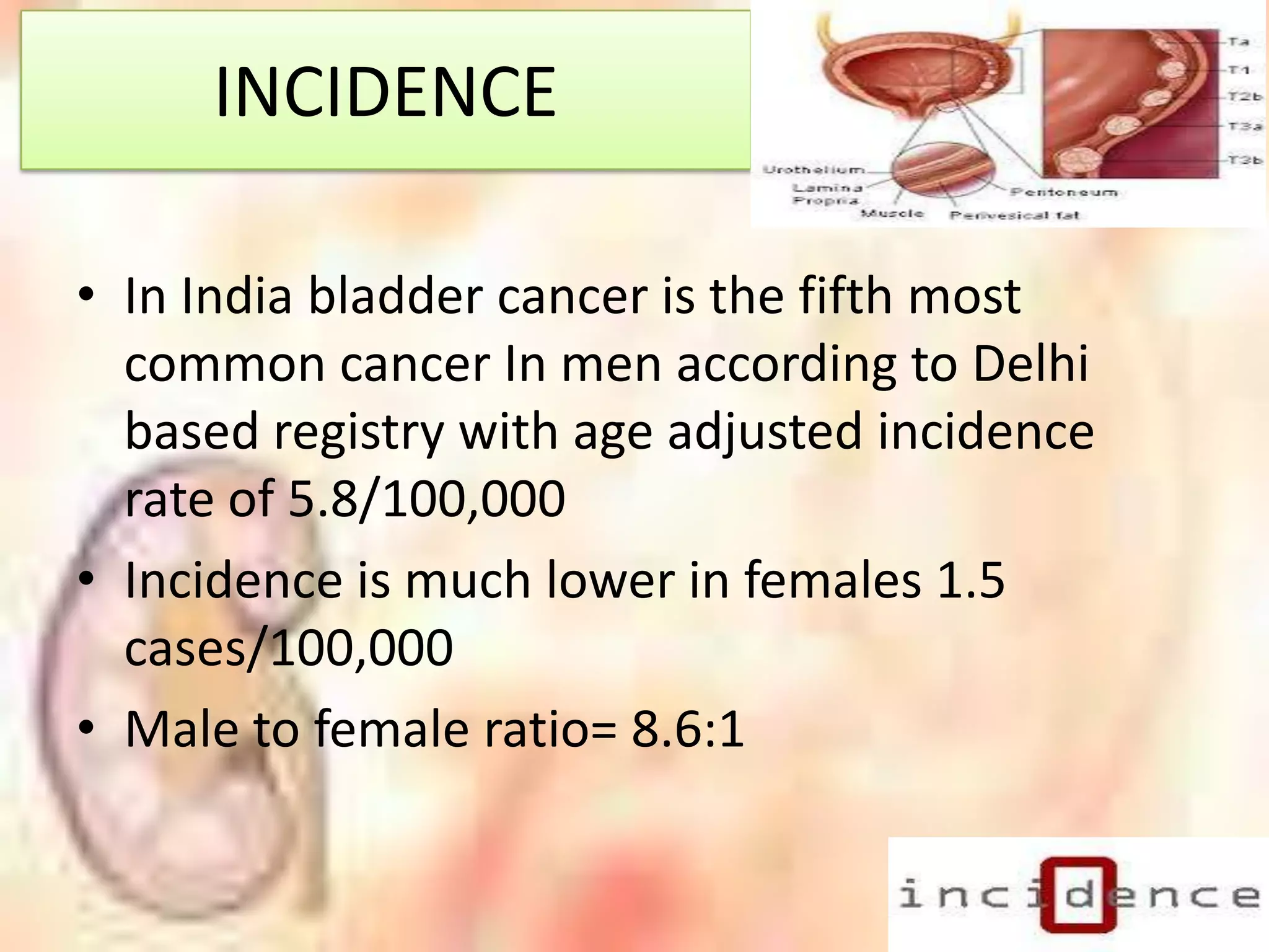Cancer of bladder | PPTX