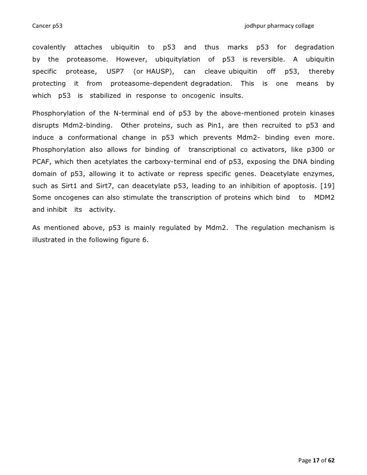 P53 review article image