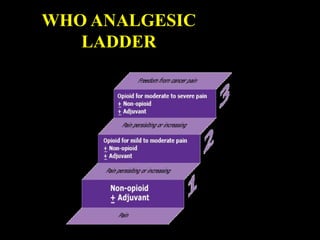 WHO ANALGESIC
LADDER
 
