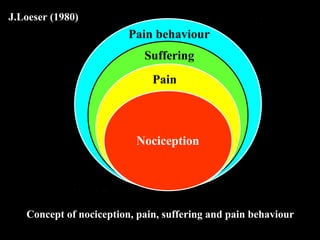 J.Loeser (1980)
Concept of nociception, pain, suffering and pain behaviour
Pain behaviour
Suffering
Pain
Nociception
 