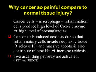 Cancer cells + macrophage + inflammation
cells produce high level of Cox-2 enzyme
 high level of prostaglandins.
 Cancer cells induced acidosis due to that
inflammatory cells invade neoplastic tissue
 release H+ and massive apoptosis also
contribute release H+  increase acidosis.
 Two ascending pathway are activated.
( STT and PSDCT)
 