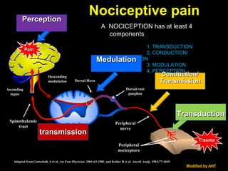 Nociceptive painNociceptive pain
A NOCICEPTION has at least 4
components
1. TRANSDUCTION
2. CONDUCTION/
TRANSMISSION
3. MODULATION
4. PERCEPTION
SpinothalamicSpinothalamic
tracttract
PeripheralPeripheral
nervenerve
Dorsal HornDorsal Horn
Dorsal rootDorsal root
ganglionganglion
PainPain
MedulationMedulation
TransductionTransduction
AscendingAscending
inputinput
DescendingDescending
modulationmodulation
PeripheralPeripheral
nociceptorsnociceptors
TraumaTrauma
Adapted from Gottschalk A et al. Am Fam Physician. 2001;63:1981, and Kehlet H et al. Anesth Analg. 1993;77:1049.
PerceptionPerception
transmissiontransmission
ConductionConductionConduction/Conduction/
TransmissionTransmission
Modified by AHT
 