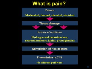 88
Poisons
Mechanical, thermal, chemical, electrical
Tissue damage
Release of mediators
Hydrogen and potassium ions,
neurotransmitters, kinins, prostaglandins
Stimulation of nociceptors
Transmission to CNS
via afferent pathways
What is pain?
 