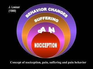 J. Loeser
(1980)
Concept of nociception, pain, suffering and pain behavior
 