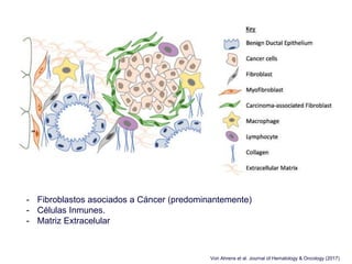 - Fibroblastos asociados a Cáncer (predominantemente)
- Células Inmunes.
- Matriz Extracelular
Von Ahrens et al. Journal of Hematology & Oncology (2017)
 