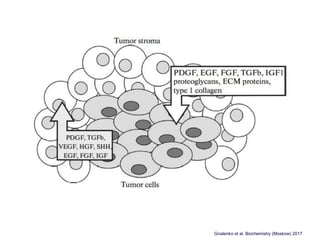Gnatenko et al, Biochemistry (Moskow) 2017
 