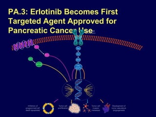 PA.3: Erlotinib Becomes First
Targeted Agent Approved for
Pancreatic Cancer Use
 