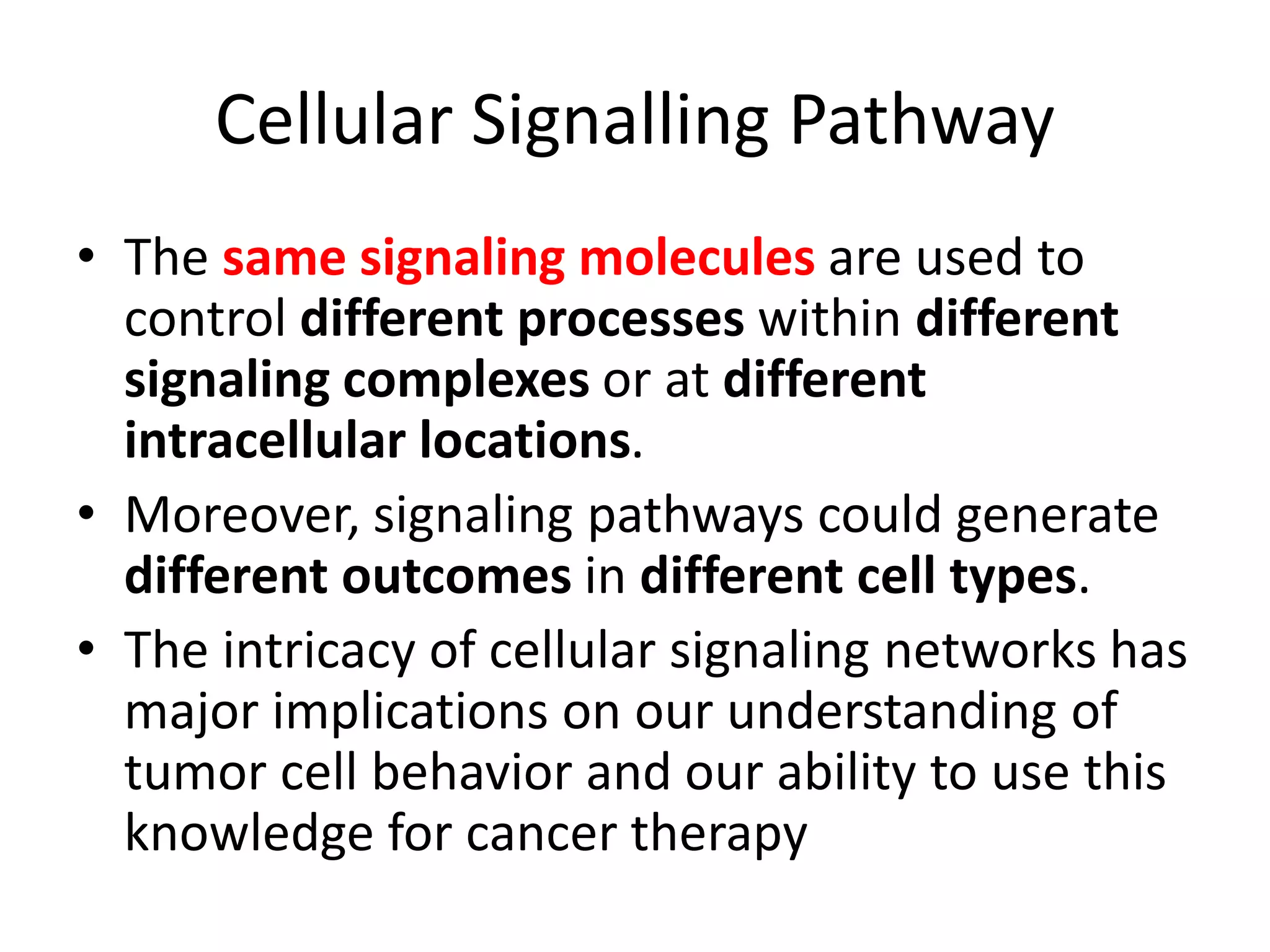 Cellular Signalling Pathway 
• The same signaling molecules are used to 
control different processes within different 
signaling complexes or at different 
intracellular locations. 
• Moreover, signaling pathways could generate 
different outcomes in different cell types. 
• The intricacy of cellular signaling networks has 
major implications on our understanding of 
tumor cell behavior and our ability to use this 
knowledge for cancer therapy 
 