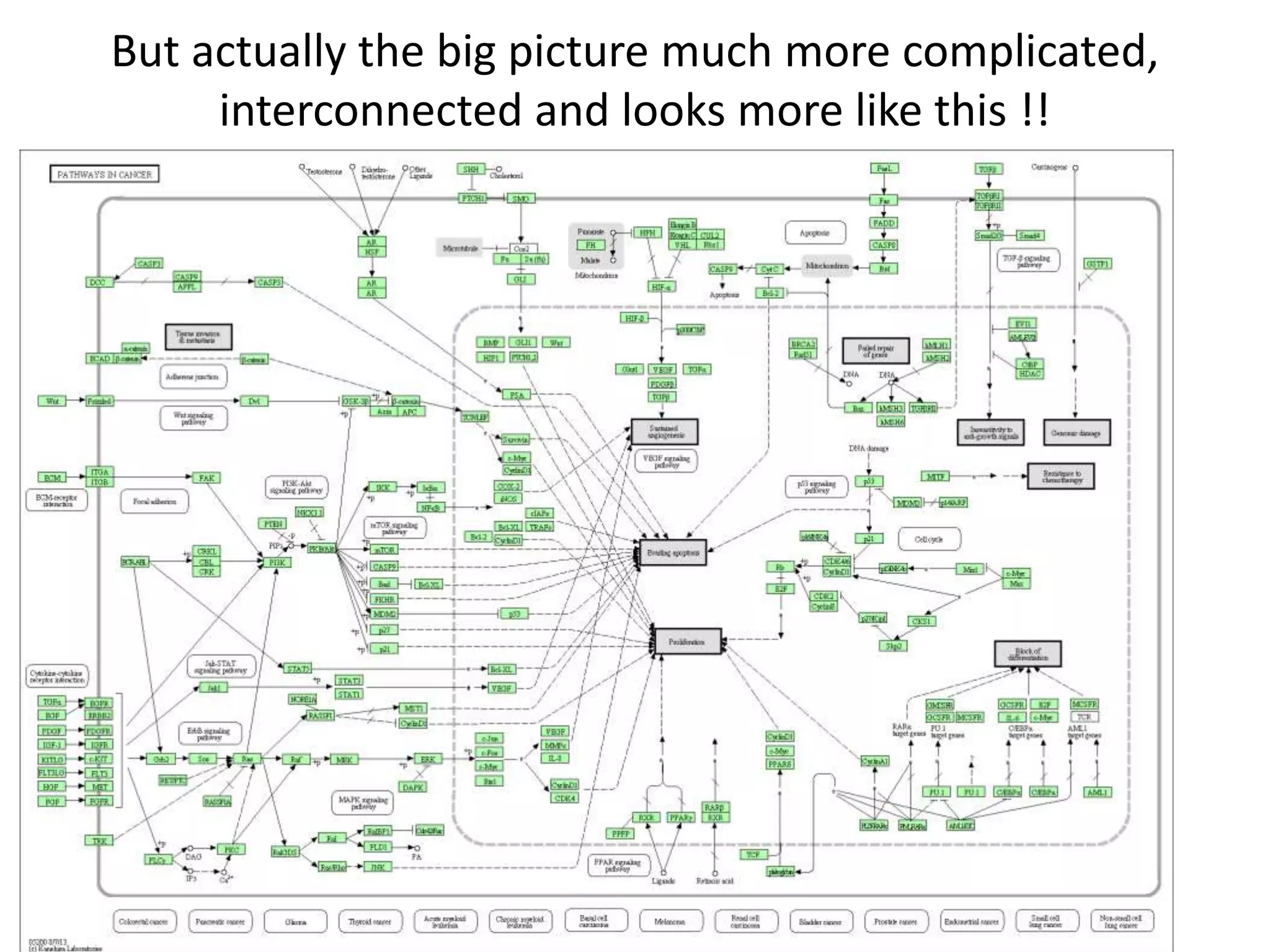 But actually the big picture much more complicated, 
interconnected and looks more like this !! 
 