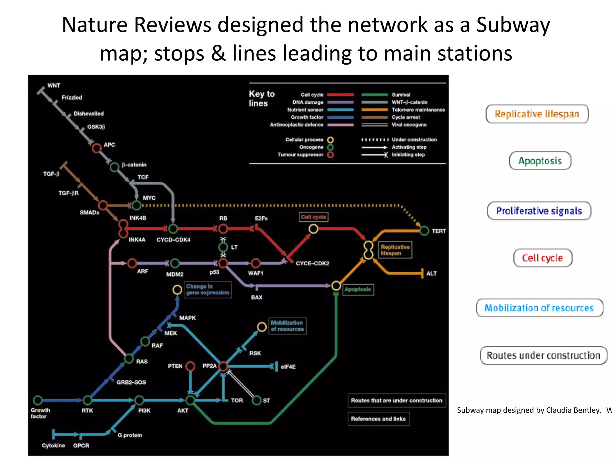 Nature Reviews designed the network as a Subway 
map; stops & lines leading to main stations 
Subway map designed by Claudia Bentley. Web  
