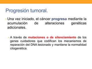 Progresión tumoral.
• Una vez iniciado, el cáncer progresa mediante la
acumulación de alteraciones genéticas
adicionales.
• A través de mutaciones o de silenciamiento de los
genes cuidadores que codifican los mecanismos de
reparación del DNA lesionado y mantiene la normalidad
citogenética.
 