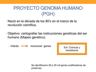 • Nació en la década de los 80’s en el marco de la
revolución científica.
• Objetivo: cartografiar las instrucciones genéticas del ser
humano (Mapeo genético).
• Interés reconocer genes
PROYECTO GENOMA HUMANO
(PGH)
Enf. Crónicas y
hereditarias
Se identificaron 20 a 25 mil genes codificadores de
proteínas.
 