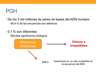 • De los 3 mil millones de pares de bases del ADN humano
• 99.9 % de las secuencias son idénticas
• 0.1 % son diferentes
• Elevada significancia biológica.
PGH
Diferencias
fenotípicas
Únicos e
irrepetibles
SNP’s Variaciones en un solo nucleótido en
la secuencia del ADN
 