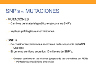 • MUTACIONES
• Cambios del material genético engloba a los SNP’s
• Implican patologías o anormalidades.
• SNP´s
• Se consideran variaciones anormales en la secuencia del ADN
• Una base
• El genoma contiene sobre los 10 millones de SNP´s.
• Generar cambios en las histonas (propias de las cromatinas del ADN)
• Por factores principalmente ambientales
SNP’s VS MUTACIONES
 