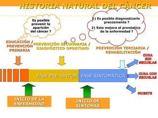 EXPOSICIÓN
INICIO DE LA
ENFERMEDAD
FASE PRE-SINTOM.
INICIO DE
SÍNTOMAS
FASE SINTOMÁTICA
EDUCACIÓN /
PREVENCIÓN
PRIMARIA
PREVENCIÓN SECUNDARIA /
DIAGNÓSTICO OPORTUNO
HISTORIA NATURAL DEL CÁNCER
Es posible
prevenir la
aparición
del cáncer ?
1) Es posible diagnosticarlo
precozmente ?
2) Esto mejora el pronóstico
de la enfermedad ?
PREVENCIÓN TERCIARIA /
REHABILITACIÓN
 