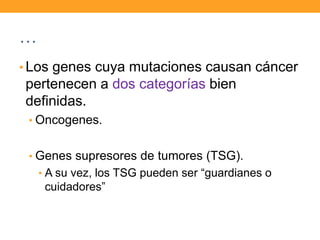 …
• Los genes cuya mutaciones causan cáncer
pertenecen a dos categorías bien
definidas.
• Oncogenes.
• Genes supresores de tumores (TSG).
• A su vez, los TSG pueden ser “guardianes o
cuidadores”
 
