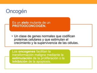 Oncogén
• Un clase de genes normales que codifican
proteínas celulares y que estimulan el
crecimiento y la supervivencia de las células.
Es un alelo mutante de un
PROTOOCONCOGÉN.
Los oncogenes facilitan la
transformación maligna mediante la
estimulación de la proliferación o la
inhibición de la apoptosis.
 
