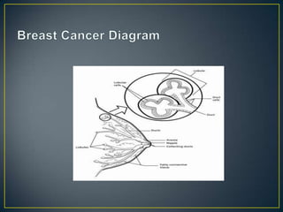 Cancer powerpoint | PPTX