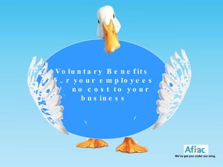 Voluntary Benefits  For your employees At no cost to your business We’ve got you under our wing. 