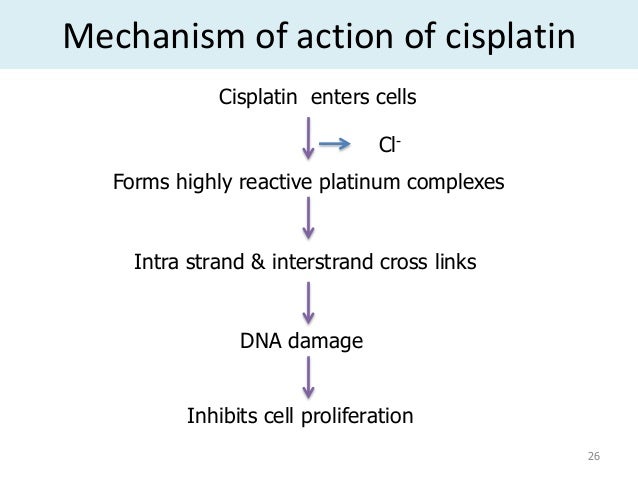 cisplatin mechanism of action barca fontanacountryinn com cisplatin mechanism of action