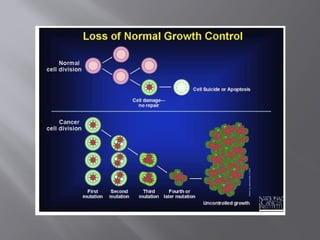 Cancer ppt and its types with explain 03081174110 PPts ...pptx