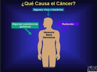 ¿Qué Causa el Cáncer?


El cáncer muchas veces se percibe
como una enfermedad que ataca sin
razón alguna. Aunque los científicos
aún no conocen todas las razones de
ello, muchas de las causas del cáncer
ya han sido identificadas. Además de
los factores intrínsicos, tales como la
herencia, dieta y hormonas, los
estudios científicos señalan hacia la
existencia de factores extrínsecos
clave que contribuyen al desarrollo
del cáncer: las substancias químicas
(por ejemplo, el fumar), la radiación y
virus o bacterias.

 