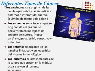 Diferentes Tipos de Cáncer
*Los carcinomas, se originan de las
células que cubren las superficies
externas e internas del cuerpo.
(pulmón, de mama y de colon )
 Los sarcomas son cánceres que se
originan de células que se
encuentran en los tejidos de
soporte del cuerpo. (hueso,
cartílago, grasa, tejido conectivo y
músculo)
 Los linfomas se originan en los
ganglios linfáticos y en los tejidos
del sistema inmunológico.
 Las leucemias células inmaduras de
la sangre que crecen en la médula
ósea y se van al torrente

 