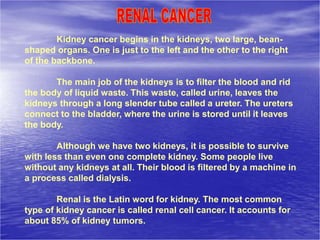 Kidney cancer begins in the kidneys, two large, bean-
shaped organs. One is just to the left and the other to the right
of the backbone.
The main job of the kidneys is to filter the blood and rid
the body of liquid waste. This waste, called urine, leaves the
kidneys through a long slender tube called a ureter. The ureters
connect to the bladder, where the urine is stored until it leaves
the body.
Although we have two kidneys, it is possible to survive
with less than even one complete kidney. Some people live
without any kidneys at all. Their blood is filtered by a machine in
a process called dialysis.
Renal is the Latin word for kidney. The most common
type of kidney cancer is called renal cell cancer. It accounts for
about 85% of kidney tumors.
 