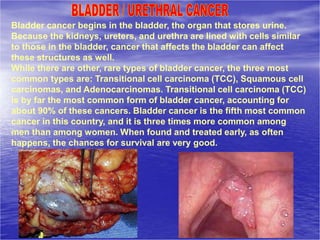 Bladder cancer begins in the bladder, the organ that stores urine.
Because the kidneys, ureters, and urethra are lined with cells similar
to those in the bladder, cancer that affects the bladder can affect
these structures as well.
While there are other, rare types of bladder cancer, the three most
common types are: Transitional cell carcinoma (TCC), Squamous cell
carcinomas, and Adenocarcinomas. Transitional cell carcinoma (TCC)
is by far the most common form of bladder cancer, accounting for
about 90% of these cancers. Bladder cancer is the fifth most common
cancer in this country, and it is three times more common among
men than among women. When found and treated early, as often
happens, the chances for survival are very good.
 