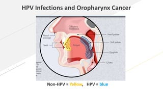 Cancer prevention aspec