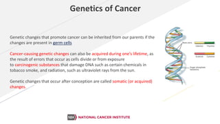 Cancer prevention aspec