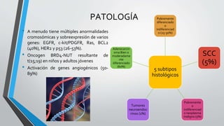 • A menudo tiene múltiples anormalidades
cromosómicas y sobreexpresión de varios
genes: EGFR, c-kit/PDGFR, Ras, BCL2
(40%), HER2 y p53 (26-53%).
• Oncogen BRD4-NUT resultante de
t(15;19) en niños y adultos jóvenes
• Activación de genes angiogénicos (50-
89%)
PATOLOGÍA
5 subtipos
histológicos
Pobremente
diferenciado
o
indiferenciad
o (25-30%)
SCC
(5%)
Pobremente
o
indiferenciad
o neoplasma
maligno (5%)
Tumores
neuroendoc
rinos (1%)
Adenocarcin
oma Bien o
moderadame
nte
diferenciado
(60%)
 