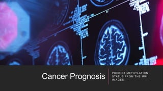 Cancer Prognosis
PREDICT METHYLATION
STATUS FROM THE MRI
IMAGES
 